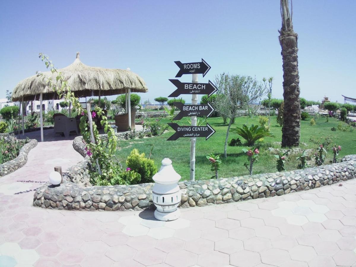 Dolphin Continental Hotel El Qoseir ภายนอก รูปภาพ
