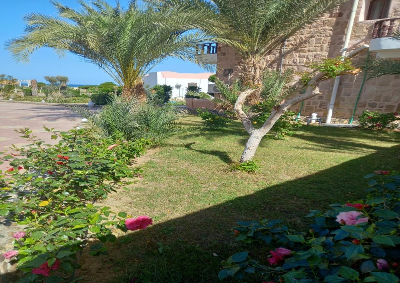 Dolphin Continental Hotel El Qoseir ภายนอก รูปภาพ