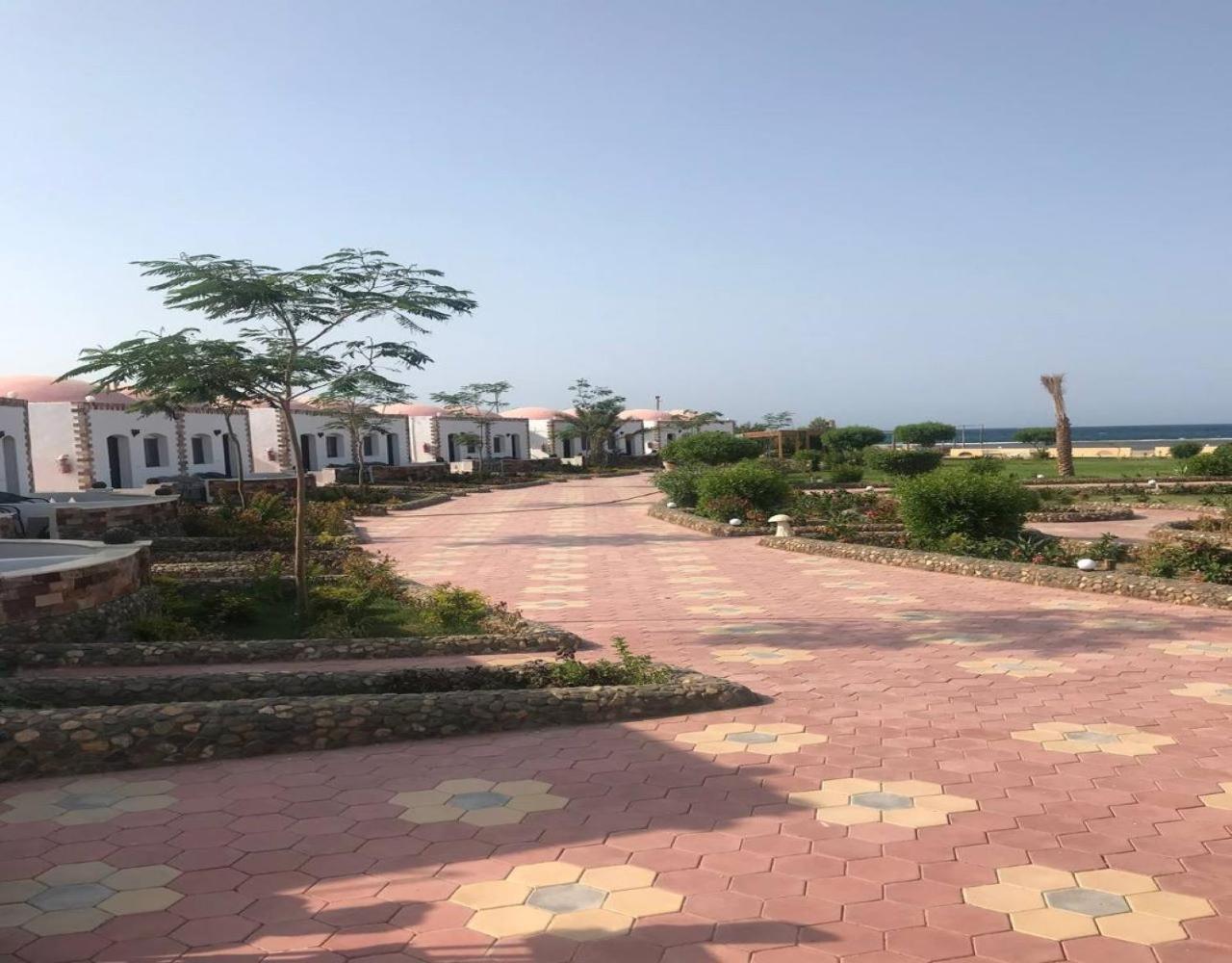 Dolphin Continental Hotel El Qoseir ห้อง รูปภาพ