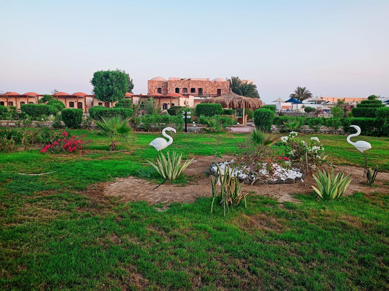 Dolphin Continental Hotel El Qoseir ภายนอก รูปภาพ