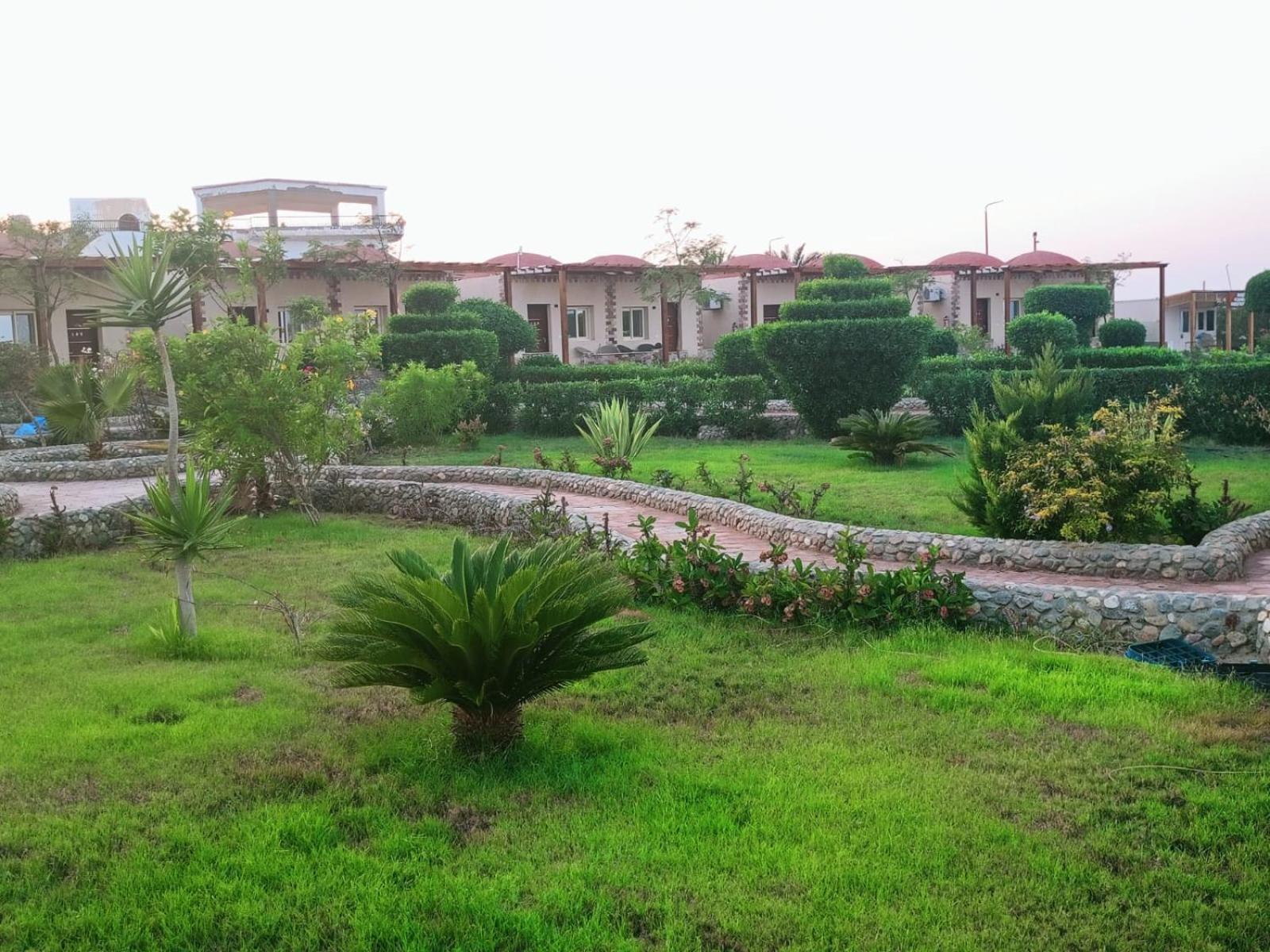 Dolphin Continental Hotel El Qoseir ภายนอก รูปภาพ