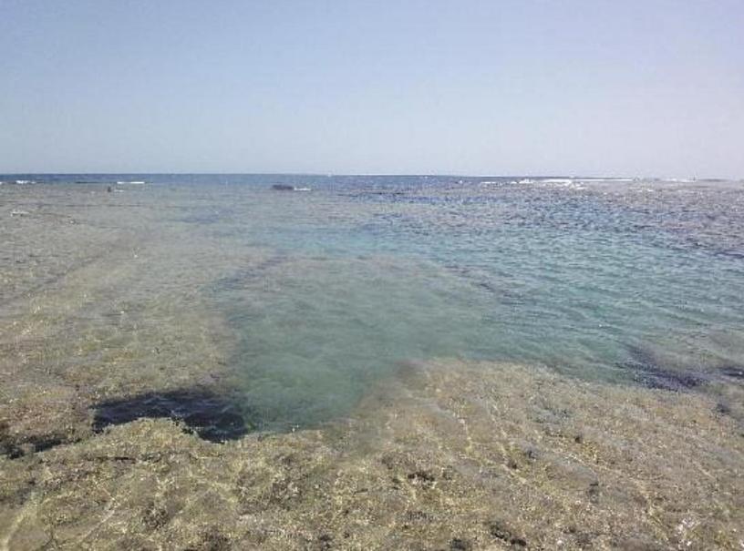 Dolphin Continental Hotel El Qoseir ภายนอก รูปภาพ